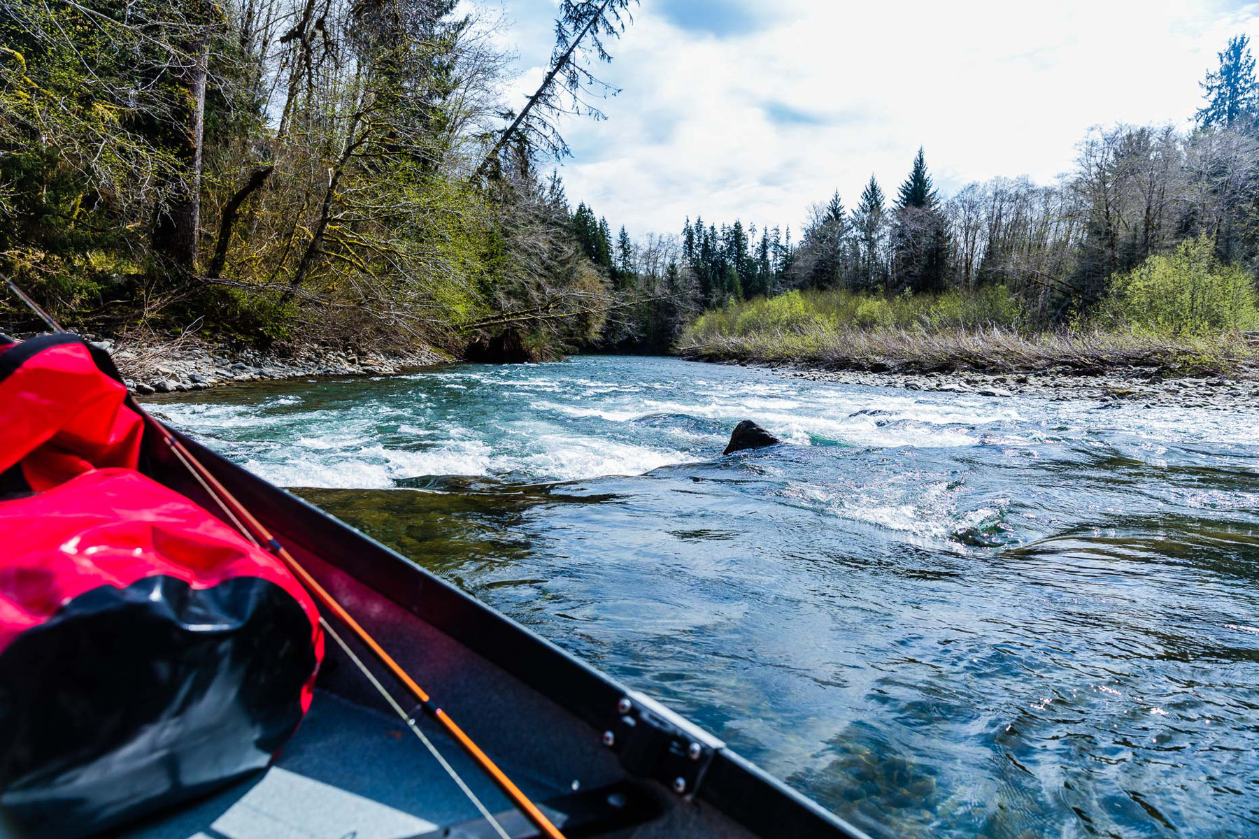 Olympic national park fishing guide